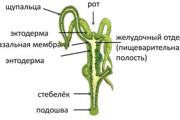 Кракен шоп ссылки