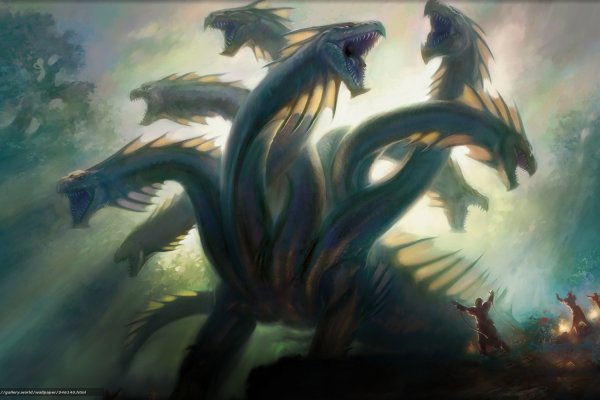 Kraken official